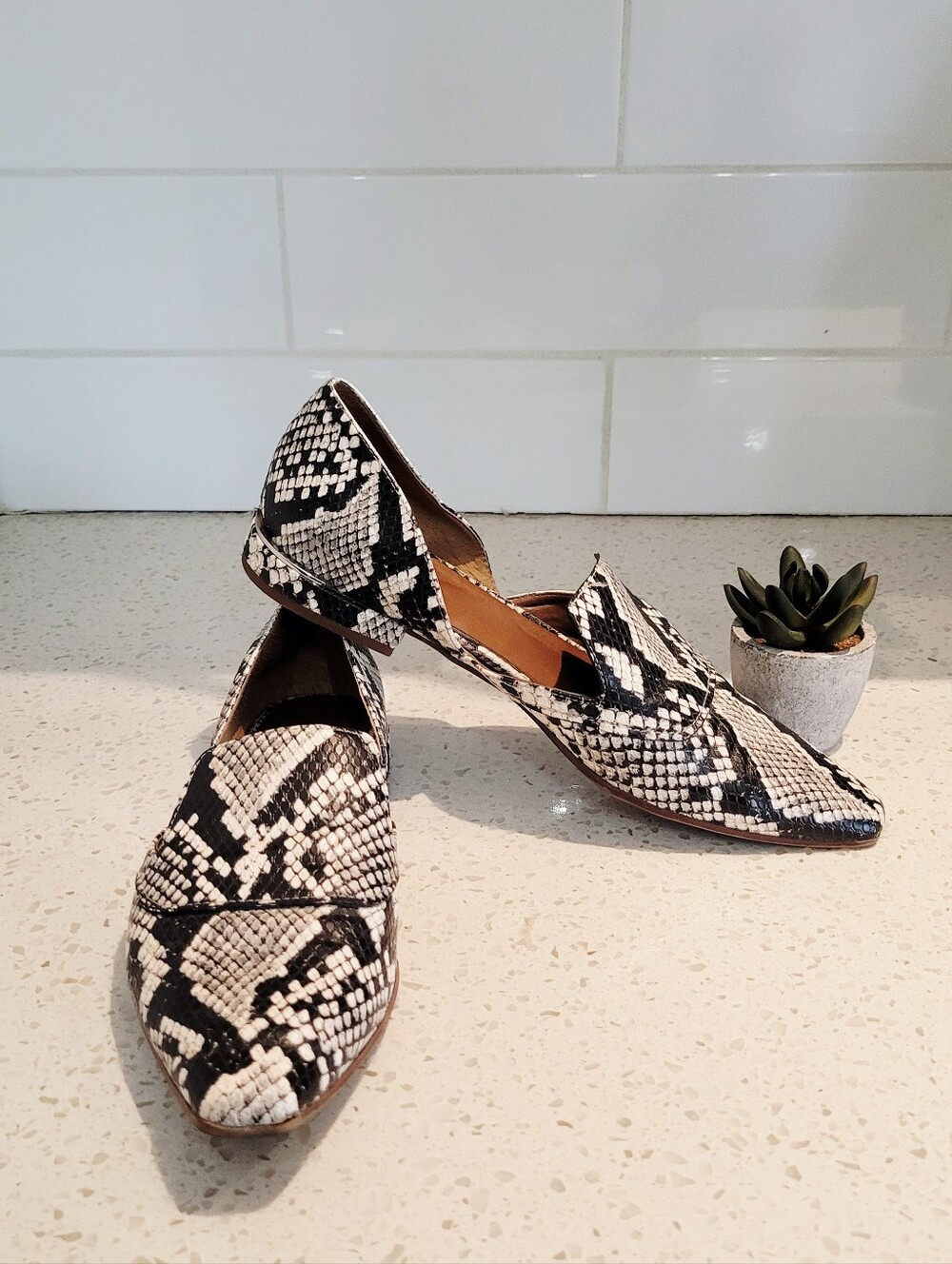 Franco Sarto Black and White Snake-Print Pointed Loafers